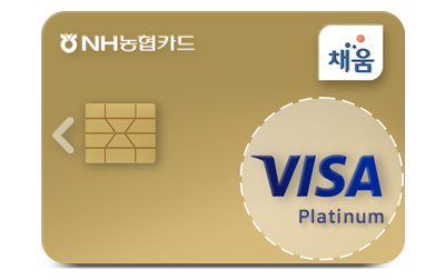 VISA Platinum